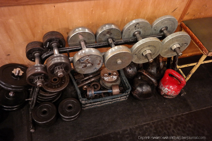 Tạ sắt có trong phòng tập