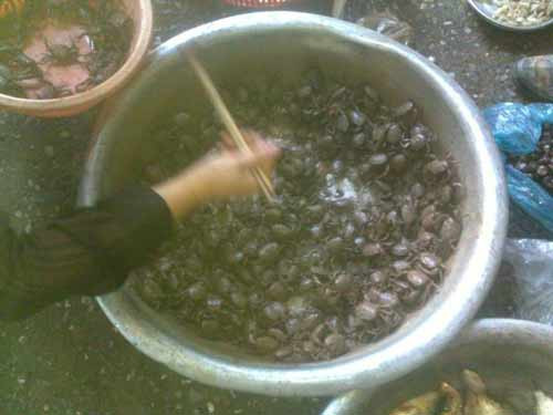 Việc cua đồng nguồn gốc Trung Quốc gây ung thư, vô sinh… chỉ là tin đồn. Việc cua đồng nguồn gốc Trung Quốc gây ung thư, vô sinh… chỉ là tin đồn.