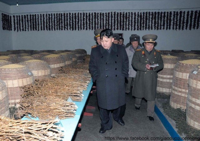 Thời gian gần đây Kim Jong Un liên tục đi thăm các đơn vị quân đội, đặc biệt sau khi Chủ tịch Kim Jong Il – cha ông qua đời. Thời gian gần đây Kim Jong Un liên tục đi thăm các đơn vị quân đội, đặc biệt sau khi Chủ tịch Kim Jong Il – cha ông qua đời.
