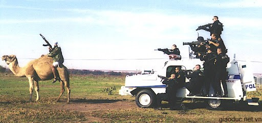Truy bắt Bin Laden cưỡi lạc đà Truy bắt Bin Laden cưỡi lạc đà