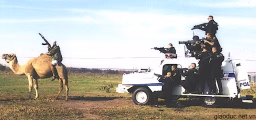 Truy bắt Bin Laden cưỡi lạc đà