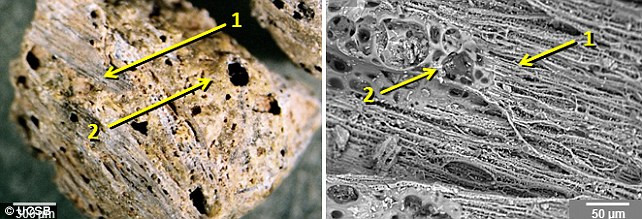Các nhà khoa học mới đây đã tìm thấy bằng chứng của cơn bão thiên thạch tấn công Trái Đất 12.000 năm trước, tạo ra một lượng nhiệt khủng khiếp đủ để đun chảy cát.