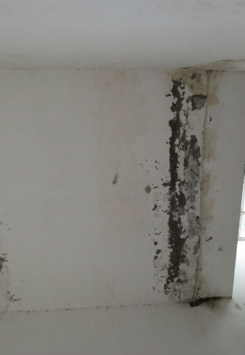 Cả phía ngoài và bên trong tường của tòa nhà đều xuất hiện nhiều chỗ bong tróc, hư hại nghiêm trọng. Cả phía ngoài và bên trong tường của tòa nhà đều xuất hiện nhiều chỗ bong tróc, hư hại nghiêm trọng.