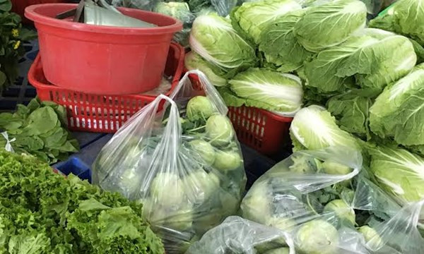 Hàng trăm kg rau củ không rõ nguồn gốc được công ty Trung Thành phân phối cho các trường trên địa bàn quận Tây Hồ (Ảnh: VTV). Hàng trăm kg rau củ không rõ nguồn gốc được công ty Trung Thành phân phối cho các trường trên địa bàn quận Tây Hồ (Ảnh: VTV).