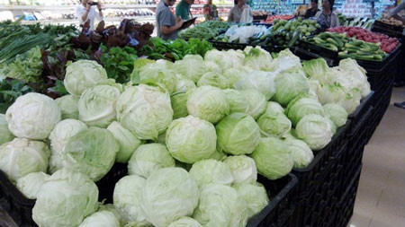 Cải bắp Trung Quốc tuồn vào siêu thị Việt. Cải bắp Trung Quốc tuồn vào siêu thị Việt.