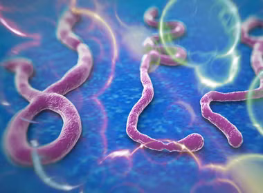 Vi rút Ebola.