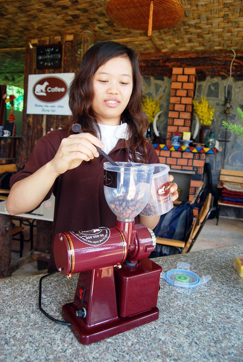 Xay cà phê chồn… Xay cà phê chồn…