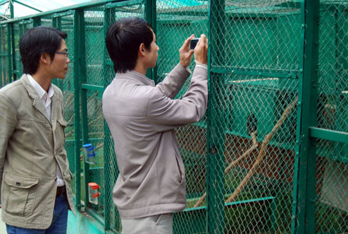 Du khách tham quan khu vực nuôi chồn. Du khách tham quan khu vực nuôi chồn.