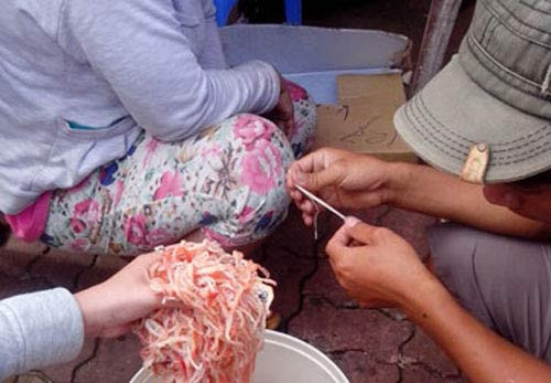 Tiêu hủy mực xé sợi “lạ” vào chiều 29/7.