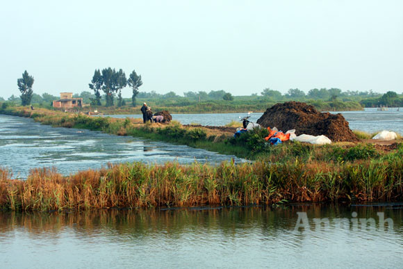 Vào mùa đông tiết trời khô lạnh, những cánh đồng tôm ở vùng biển Thái Thụy (Thái Bình) tạm nuôi trồng thủy sản, đợi mùa xuân nắng ấm mới tiếp tục. Đây chính là khoảng thời gian mà rong biển phát triển mạnh mẽ. Lúc này, người dân chuyển hướng đi vớt rong biển về xuất khẩu. Vào mùa đông tiết trời khô lạnh, những cánh đồng tôm ở vùng biển Thái Thụy (Thái Bình) tạm nuôi trồng thủy sản, đợi mùa xuân nắng ấm mới tiếp tục. Đây chính là khoảng thời gian mà rong biển phát triển mạnh mẽ. Lúc này, người dân chuyển hướng đi vớt rong biển về xuất khẩu.