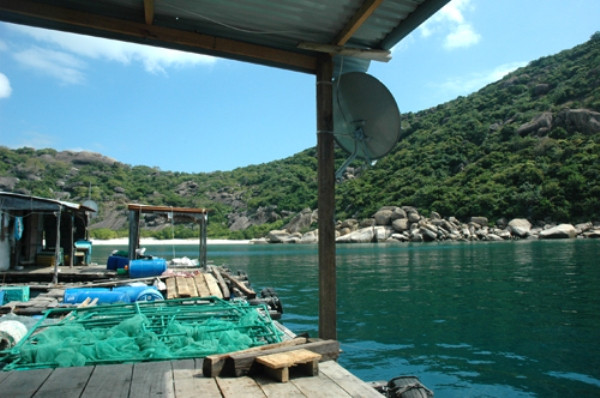 3. Tôm hùm Bình Ba Bình Ba là một ốc đảo nằm ngay cửa vào vịnh Cam Ranh, ngư trường ở đây tạo ra những giống tôm hùm bông xanh có hương vị rất riêng và khá đặc biệt, trở thành một trong những món đặc sản trứ danh của tỉnh này. 3. Tôm hùm Bình Ba Bình Ba là một ốc đảo nằm ngay cửa vào vịnh Cam Ranh, ngư trường ở đây tạo ra những giống tôm hùm bông xanh có hương vị rất riêng và khá đặc biệt, trở thành một trong những món đặc sản trứ danh của tỉnh này.