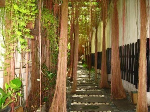 5. Đen trắng cà phê Con hẻm nhỏ hun hút, tông màu đen trắng dịu dàng, đen trắng như nốt lặng trong của thành phố xô bồ. Một điểm nhỏ là đen trắng không chơi nhạc sống, nhưng những ca khúc Giáng sinh bất hủ nổi tiếng duới bàn tay tài hoa của người nghệ sỹ piano khiến đêm Giáng sinh trở nên an bình và nhiều ý nghĩa hơn. Địa chỉ: Đen & Trắng Coffee, số 47 Tú Xương, Q3, TP HCM.