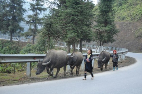 1. Sapa Sapa là một khu nghỉ mát nổi tiếng nằm ở độ cao 1.600m, cách thành phố Lào Cai 38 km và cách Hà Nội 376 km. Mang sắc thái khí hậu ôn đới, không khí Sapa mát mẻ quanh năm. Đặc biệt, đây là nơi duy nhất của Việt Nam có tuyết. 1. Sapa Sapa là một khu nghỉ mát nổi tiếng nằm ở độ cao 1.600m, cách thành phố Lào Cai 38 km và cách Hà Nội 376 km. Mang sắc thái khí hậu ôn đới, không khí Sapa mát mẻ quanh năm. Đặc biệt, đây là nơi duy nhất của Việt Nam có tuyết.