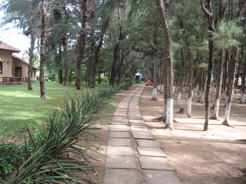 4. Biển Cần Giờ Cát ở biển Cần Giờ có màu đen nên biển tại đây trong có vẻ “bẩn bẩn” song điều đó không ảnh hưởng đến làn da tuyệt mỹ hay thú vui đùa giỡn trên biển của bạn. 4. Biển Cần Giờ Cát ở biển Cần Giờ có màu đen nên biển tại đây trong có vẻ “bẩn bẩn” song điều đó không ảnh hưởng đến làn da tuyệt mỹ hay thú vui đùa giỡn trên biển của bạn.