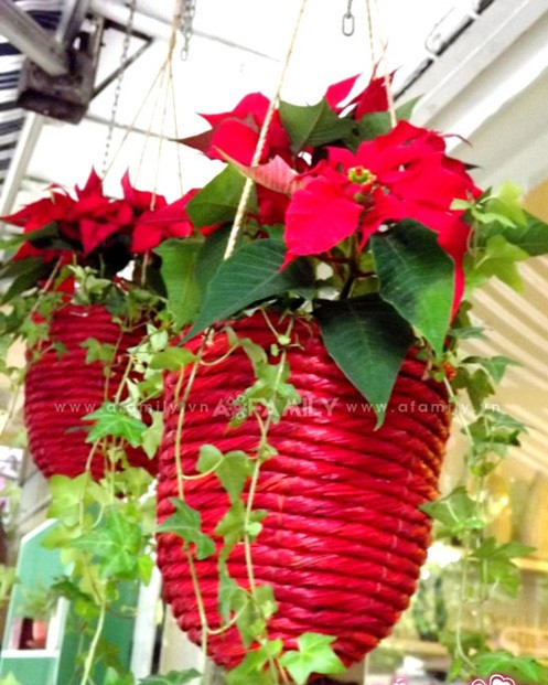 Lẵng hoa trang trí treo nơi cửa ra vào, tường,... có giá từ 400.000 đồng. Lẵng hoa trang trí treo nơi cửa ra vào, tường,... có giá từ 400.000 đồng.