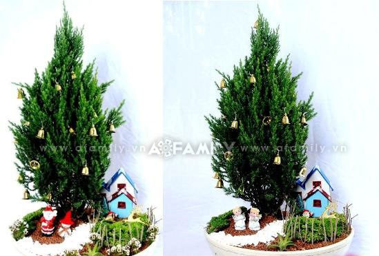 Khu vườn là một mô hình Noel thu nhỏ, gồm những căn nhà, con đường phủ đầy tuyết trắng hay những cây tùng được trang trí rực rỡ… Tất cả đều làm toát lên một bầu không khí Giáng sinh hết sức sinh động. Khu vườn Noel này có giá 500.000 đồng. Khu vườn là một mô hình Noel thu nhỏ, gồm những căn nhà, con đường phủ đầy tuyết trắng hay những cây tùng được trang trí rực rỡ… Tất cả đều làm toát lên một bầu không khí Giáng sinh hết sức sinh động. Khu vườn Noel này có giá 500.000 đồng.