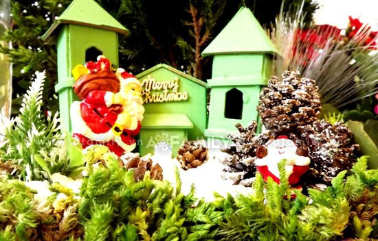 Những khu vườn nhỏ xinh này sẽ là món quà thật ý nghĩa trong ngày lễ Giáng sinh sắp đến! Những khu vườn nhỏ xinh này sẽ là món quà thật ý nghĩa trong ngày lễ Giáng sinh sắp đến!