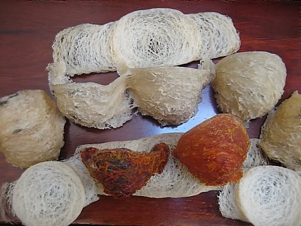 1. Yến sào Khánh Hòa Yến sào, chữ Hán là tổ của chim yến, được làm hoàn toàn bằng nước bọt của chim yến. Ngày xưa, tổ yến là vật quý được dâng vua và chỉ các nhà vương giả mới đủ tiền mua. 1. Yến sào Khánh Hòa Yến sào, chữ Hán là tổ của chim yến, được làm hoàn toàn bằng nước bọt của chim yến. Ngày xưa, tổ yến là vật quý được dâng vua và chỉ các nhà vương giả mới đủ tiền mua.