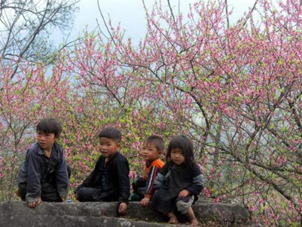 2. Tây Bắc Tây Bắc là vùng miền núi phía Tây của miền Bắc Việt Nam. Địa hình của vùng này vô cùng hiểm trở với nhiều khối núi và dãy núi cao sừng sững sinh ra những con đèo dài, khúc khuỷu. Song Tây bắc mang vẻ đẹp không nơi nào có. Vì lý do đón, đây là địa điểm mà hầu hết du khách đều muốn đến đây một lần trong đời. 2. Tây Bắc Tây Bắc là vùng miền núi phía Tây của miền Bắc Việt Nam. Địa hình của vùng này vô cùng hiểm trở với nhiều khối núi và dãy núi cao sừng sững sinh ra những con đèo dài, khúc khuỷu. Song Tây bắc mang vẻ đẹp không nơi nào có. Vì lý do đón, đây là địa điểm mà hầu hết du khách đều muốn đến đây một lần trong đời.