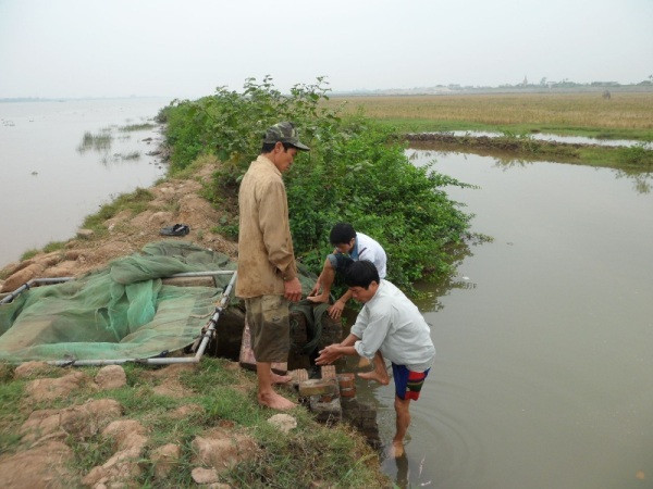 Làm rươi rất vất vả, mỗi khi đến mùa rươi, nhiều gia đình phải dậy từ nửa đêm để canh lấy nước triều cường vào đầm nhà mình để rươi chui từ dưới long đất lên và đến khi trời sang thì phải tháo nước ra để rươi theo dòng chảy.