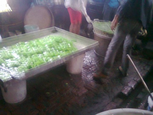 Trước khi ra cửa hàng để thành những thanh mứt bí đao trắng ngần hay màu sắc bắt mắt, vuông vức, thơm ngon, hậu trường của một lò mứt là như thế này.