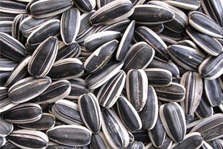 7 loại hạt chứa nhôm gây teo não, người dùng kêu gọi không ăn. 7 loại hạt chứa nhôm gây teo não, người dùng kêu gọi không ăn.