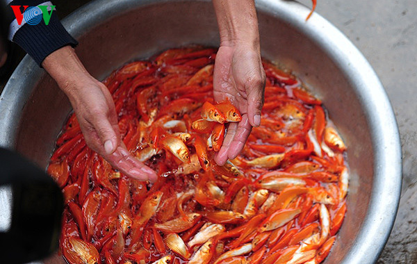 Những nhà không đủ cá để giao đành lấy lại của nhà khác