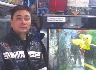 Nhiều thành viên của Hội nuôi cá rồng Hải Phòng cho biết, tùy theo từng loài, từng kích cỡ mà có giá tiền khác nhau. Nhỏ thì khoảng 2-3 triệu đồng/con, lớn khoảng 10-15 triệu đồng. Có những con cá đẹp được tính bằng cả nghìn đô-la Nhiều thành viên của Hội nuôi cá rồng Hải Phòng cho biết, tùy theo từng loài, từng kích cỡ mà có giá tiền khác nhau. Nhỏ thì khoảng 2-3 triệu đồng/con, lớn khoảng 10-15 triệu đồng. Có những con cá đẹp được tính bằng cả nghìn đô-la