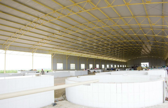 Nhà máy chế biến mủ cao su của bầu Đức tại Attapeu.