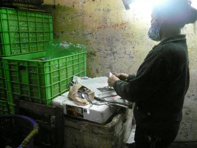 “Công nhân” đang cho xoài “ngậm” hóa chất thúc chín. “Công nhân” đang cho xoài “ngậm” hóa chất thúc chín.