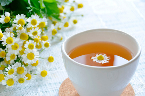Chamomile là loại thảo dược chăm sóc làn da dễ bị kích ứng. Ảnh: youne