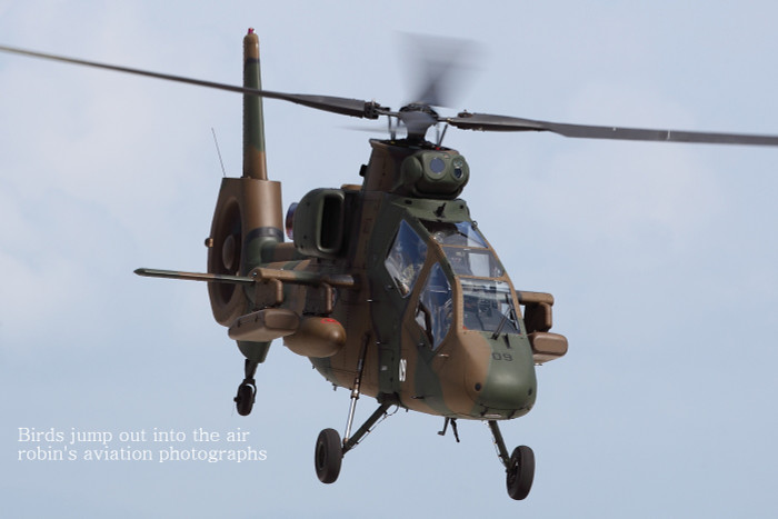 Trực thăng OH-1 Ninja Trực thăng OH-1 Ninja