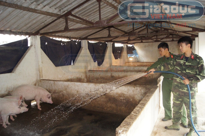 Tích cực tăng gia sản xuất