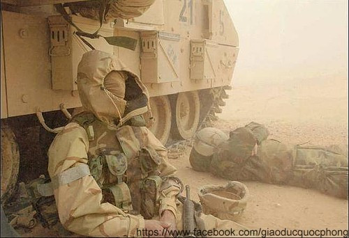 Khổ sở vì cát bụi Khổ sở vì cát bụi