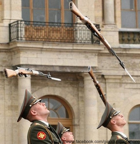 Nếu không bắt trúng thì tai họa Nếu không bắt trúng thì tai họa