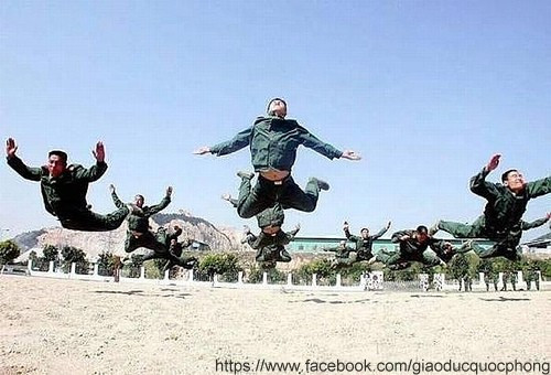 Tập bay? Tập bay?