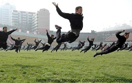 Tập bay? Tập bay?