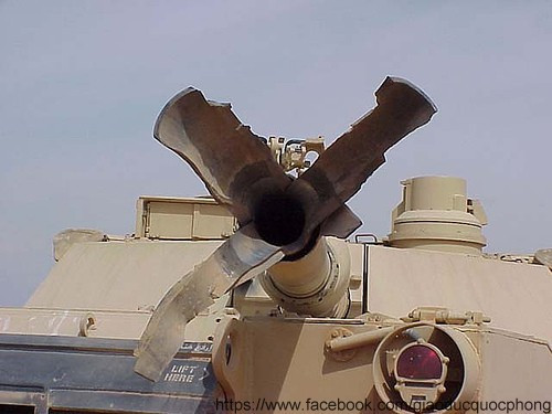 Hoa súng đã tàn Hoa súng đã tàn