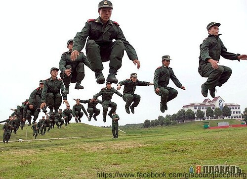 Tập bay? Tập bay?