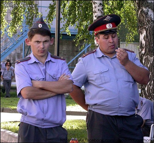 Một anh béo, một anh gầy Một anh béo, một anh gầy