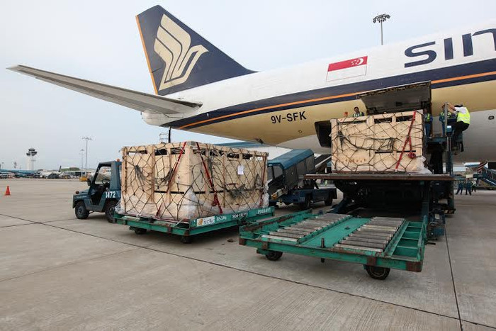 Chi phí khá cao, nhưng Vinamilk chọn vận chuyển bò sữa bằng máy bay nhằm đảm bảo được độ an toàn cũng như sức khỏe cho đàn bò. Chi phí khá cao, nhưng Vinamilk chọn vận chuyển bò sữa bằng máy bay nhằm đảm bảo được độ an toàn cũng như sức khỏe cho đàn bò.