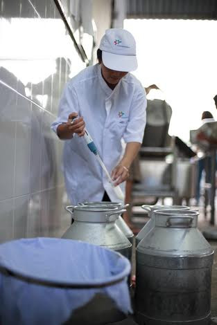 Cô Gái Hà Lan có thể tự hào vì là doanh nghiệp duy nhất trên thị trường tính đến thời điểm hiện tại có mạng lưới thu mua sữa tươi nguyên liệu trực tiếp từ nông dân lớn mạnh sau gần 2 thập kỷ đầu tư... Cô Gái Hà Lan có thể tự hào vì là doanh nghiệp duy nhất trên thị trường tính đến thời điểm hiện tại có mạng lưới thu mua sữa tươi nguyên liệu trực tiếp từ nông dân lớn mạnh sau gần 2 thập kỷ đầu tư...