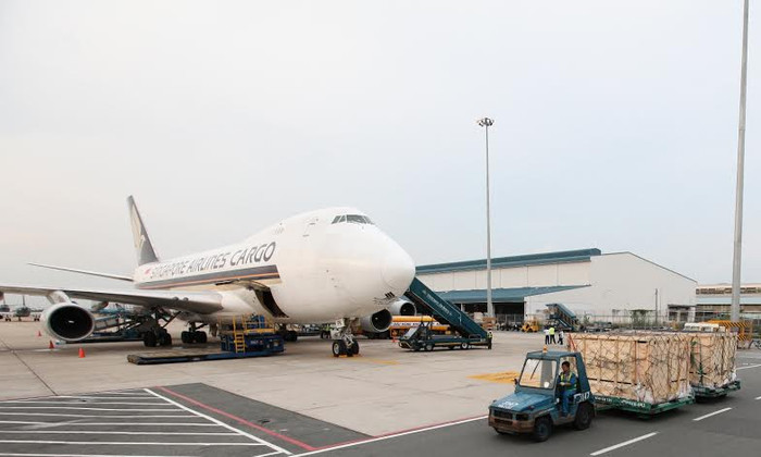 Sau chuyến hành trình 8 giờ vượt đại dương, ngày 19/5/2014, chuyến bay mang số hiệu SQ 7285 của hãng hàng không Singapore Airlines chở 200 con bò cao sản mang thai từ Melbourne, Australia đã về đến sân bay Tân Sơn Nhất, TP.HCM. Sau chuyến hành trình 8 giờ vượt đại dương, ngày 19/5/2014, chuyến bay mang số hiệu SQ 7285 của hãng hàng không Singapore Airlines chở 200 con bò cao sản mang thai từ Melbourne, Australia đã về đến sân bay Tân Sơn Nhất, TP.HCM.