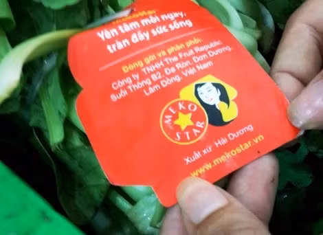 Rau cải chip bán tại Ocean Mart được trồng tại Hải Dương, đóng gói ở... Lâm Đồng và phân phối tại Hà Nội.