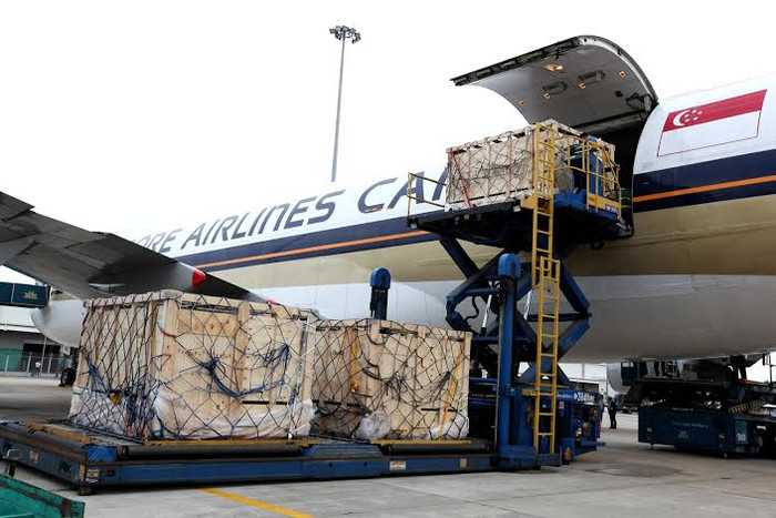 Quy trình vận chuyển bốc dỡ 200 con bò sữa tại sân bay Tân Sơn Nhất diễn ra chỉ trong hơn một giờ đồng hồ. Bò được chuyên chở trong các cũi gỗ theo tiêu chuẩn và quy định quốc tế, chuyên gia Australia đi áp tải và theo dõi sức khỏe đàn bò. Quy trình vận chuyển bốc dỡ 200 con bò sữa tại sân bay Tân Sơn Nhất diễn ra chỉ trong hơn một giờ đồng hồ. Bò được chuyên chở trong các cũi gỗ theo tiêu chuẩn và quy định quốc tế, chuyên gia Australia đi áp tải và theo dõi sức khỏe đàn bò.