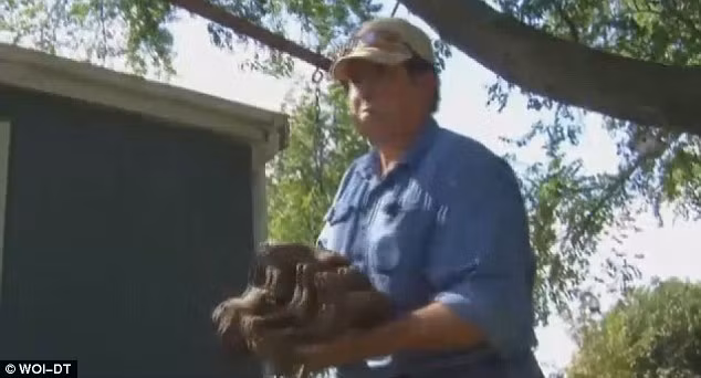 Còn đây là những phần xương khác ông tìm thấy được.