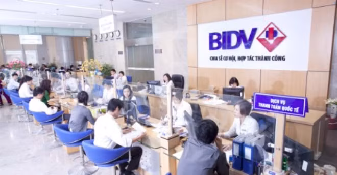 BIDV triển khai gói tín dụng 1.500 tỷ đồng hỗ trợ các đối tượng thuộc lĩnh vực sản xuất, chế biến, nuôi trồng, tiêu thụ thủy, hải sản tại 4 tỉnh ven biển miền Trung có hiện tượng cá chết hàng loạt. Ảnh minh họa.