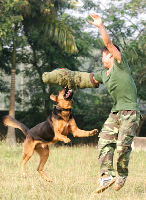 và cắn vào tay, khống chế đối tượng có vũ khí. và cắn vào tay, khống chế đối tượng có vũ khí.
