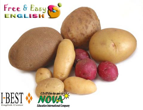 Bài 4: Quy tắc chuyển đổi danh từ số ít sang số nhiều ảnh 1 Bài 4: Quy tắc chuyển đổi danh từ số ít sang số nhiều ảnh 1
