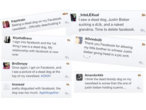 Facebook đã xác định những người phát tán hình ảnh khiêu dâm ảnh 1